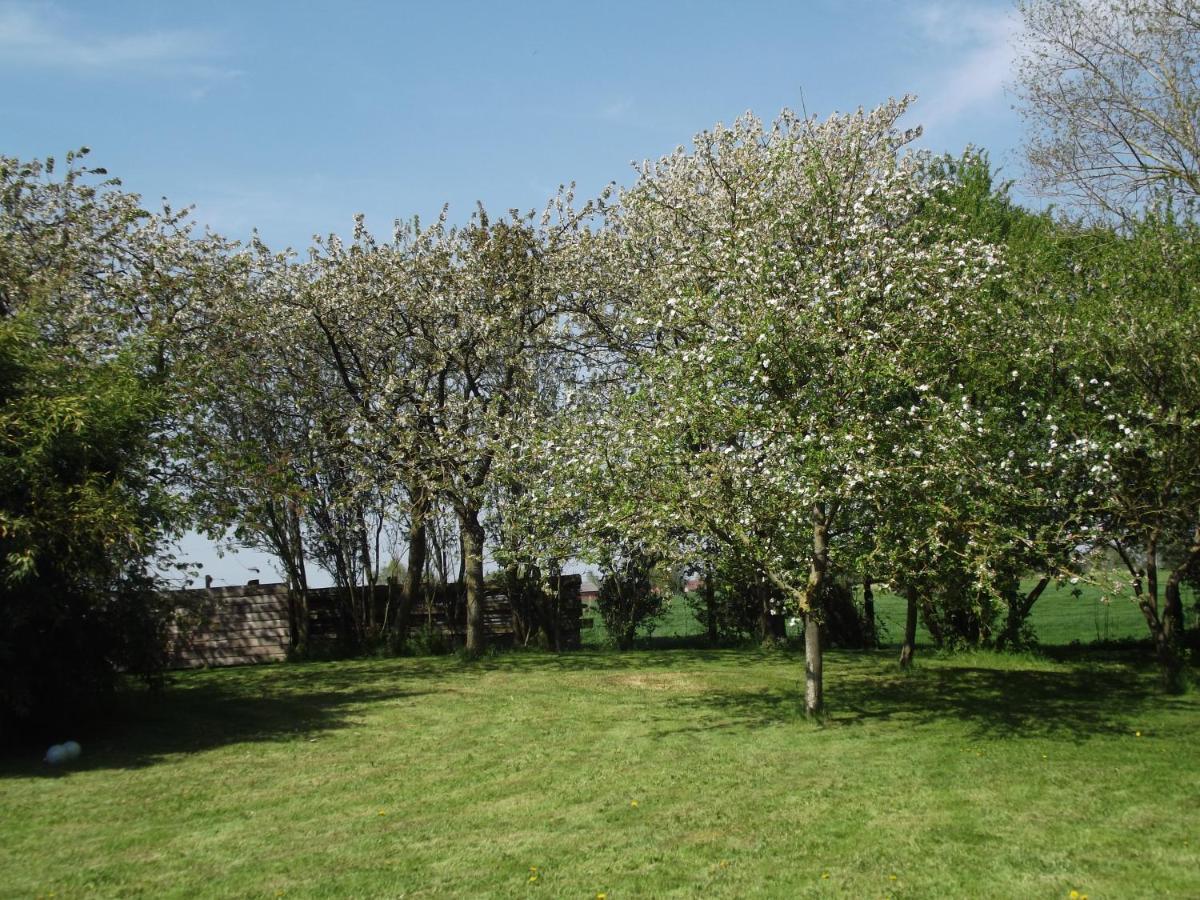 Au Bonheur Frontalier Bed & Breakfast Steenvoorde Dış mekan fotoğraf